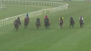 Hawker Hall trials at Muswellbrook [upl. by Yklam]