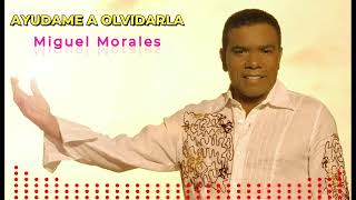 Miguel Morales  AYUDAME A OLVIDARLA [upl. by Dimmick]