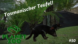 Tasmanische Teufel  Planet Zoo 50 [upl. by Fariss34]