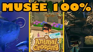 VISITE DU MUSÉE 100 COMPLET  ANIMAL CROSSING NEW HORIZONS [upl. by Harday]