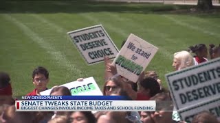 School choice taxes at center of Ohio Senate’s budget proposal [upl. by Maupin]