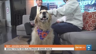 2023 Dogs of Boise State calendar gives back [upl. by Callean885]