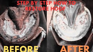 Taking dirt out of horses hooves and restoration  Asmr [upl. by Erdah]