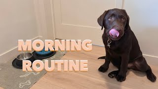 LABRADOR PUPPYS MORNING ROUTINE [upl. by Emylee363]