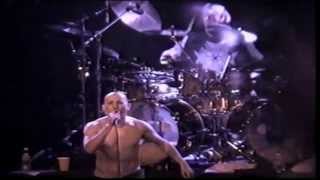 Tool  H Live HD 720p [upl. by Mildred]