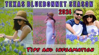 Texas Bluebonnet Season 2024  Ennis Bluebonnet Trail   Tips and Information [upl. by Atis]