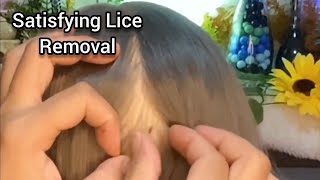 ASMR 🌻 Most Satisfying Lice Removal and Scalp CheckScratching lice pick parting  No Talking😴😪 [upl. by Aronek]