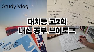 대치동 고2의 내신 공부 브이로그  06년생 고2  대치동 이과생  Study Vlog  공부자극  Study Motivation [upl. by Orips]