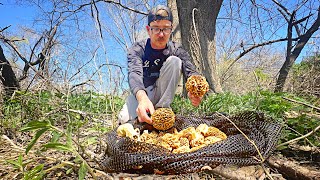 MOREL MUSHROOM Hunting For The FIRST TIME Forage Clean And Cook [upl. by Aiva]