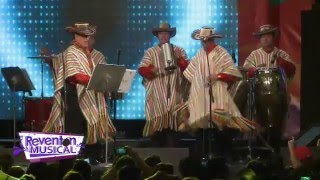 Reventón Musical Guacharacos de Colombia quotCumbia de los Kissquot [upl. by Yllut]