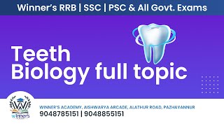 TEETH BIOLOGY FULL TOPIC [upl. by Seigler]