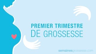 Premier trimestre de grossesse  La grossesse trimestre par trimestre [upl. by Edeline692]