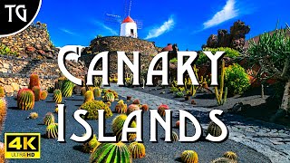 Wonders of the Canary Islands [upl. by Assen105]