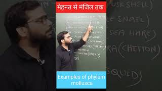 Trick to learn examples of phylum mollusca  Govind yadav  NEET 2025  Shorts [upl. by Jo]