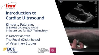 Echocardiography to Assess MitralValve Leaflets  NEJM [upl. by Terr]