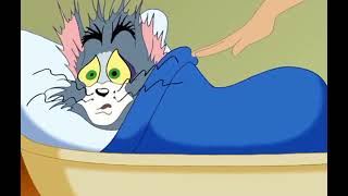 As Aventuras De Tom amp Jerry O Encantador De Gatos [upl. by Bartolomeo]