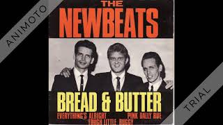 Newbeats  Everythings Alright  1964 [upl. by Durno]