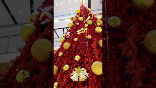 Sparkle and Shine this Holiday Season at Pacific Mall NSPPitampura [upl. by Haliehs914]