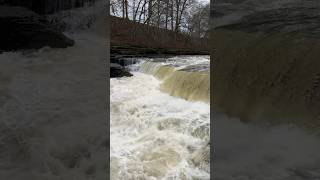 Aysgarth Falls🏴󠁧󠁢󠁥󠁮󠁧󠁿 england travel funnyshorts nature aysgarth uk waterfall [upl. by Ardnuahsal50]