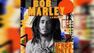 BOB MARLEY ft Winky D  Trouble In The World Instrumental Remake [upl. by Paige]