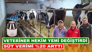 Veteriner Hekim Yemi Değiştirdi  Süt Verimi Arttı [upl. by Inittirb]