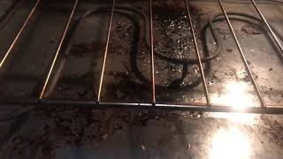 5 Tips to Clean Your Oven Like a Pro [upl. by Gide]