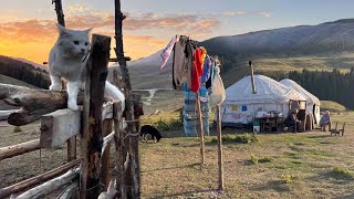 Life in the Mountains of Kazakhstan A day with Kazakh nomads [upl. by Yaf]