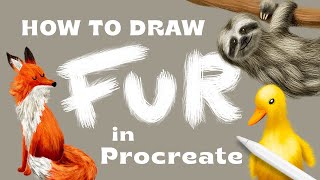 How to Draw Fur in Procreate  FREE BRUSHES New Class on Skillshare [upl. by Conny]