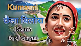 Garhwali Old Song Dj mix 2024  Dj Peeyush  chela bilora  new year special 2024 [upl. by Ahsinrev]