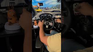 Se castiga bine la pepeni 🤣 dondaddygamer eurotrucksimulator2 [upl. by Scevo]