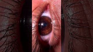 Macro eye video effect ❤️ [upl. by Onimixam]