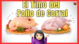 🐔 EL TIMO DEL POLLO DE CORRAL VS POLLO NORMAL VS POLLO ECOLÓGICO 🐔 COMO ANIMAL [upl. by Elum]