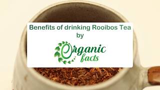 12 Impressive Benefits of Rooibos Tea  Organic Facts [upl. by Suzan]