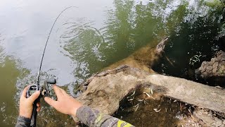 Epic Fishing Walking The Banks of The Murrumbidgee River [upl. by Ecire550]