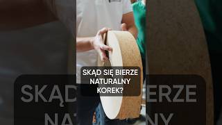 Okleina z naturalnego korka interiordesign meble [upl. by Kulseth]