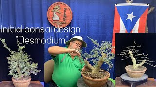 Initial bonsai design quotdesmodiumquot [upl. by Nager]