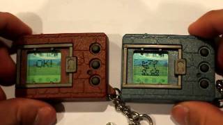 2 Digimon Tamagotchi Battle Greymon Vs Numemon [upl. by Nelleoj902]