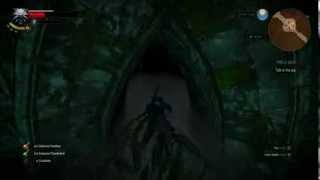 How to find the pig under the rock  Witcher 3 fools gold quotbuggedquot Quest [upl. by Sharia]