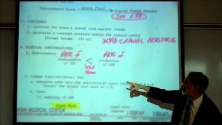 The Production amp Circulation of Cerebrospinal Fluid CSF by Professor Fink [upl. by Wilterdink]