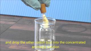 Ammonia amp HCl Diffusion Demonstration [upl. by Hallee]