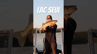 Lac Seul Walleye fishing walleye northernontario [upl. by Lauder]