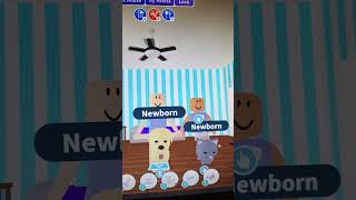 Poor to rich adoptme viralshorts trending trend funny roblox halloweenpets [upl. by Wennerholn144]