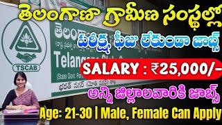 TGCAB Notification 2024  Latest Jobs In Telugu  TG DCCB Notification 2024  Jobs 2024 [upl. by Vaish]