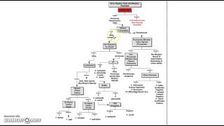 515 Frontload Biochemical Tests [upl. by Ondrej]