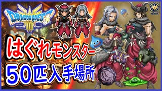 DQ3 HD2D版 はぐれモンスター50匹の入手場所！魔物使い最強特技ビーストモード入手！ドラクエ3リメイク 攻略【メイルス】 [upl. by Ennaxor882]