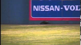 Skunk invades NYSEG Stadium [upl. by Anilat]