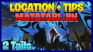 Shindo Life Matatabi Jin Spawn Location  Matatabi Jin LOCATION and TIPS [upl. by Nylsirhc]