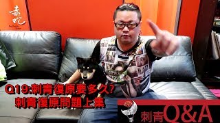 刺青復原要多久刺青QampA EP19 [upl. by Materi479]