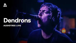 Dendrons on Audiotree Live Full Session [upl. by Notniv]