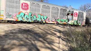 Eastbound Norfolk southern manifest train at Elwell road [upl. by Notlehs450]